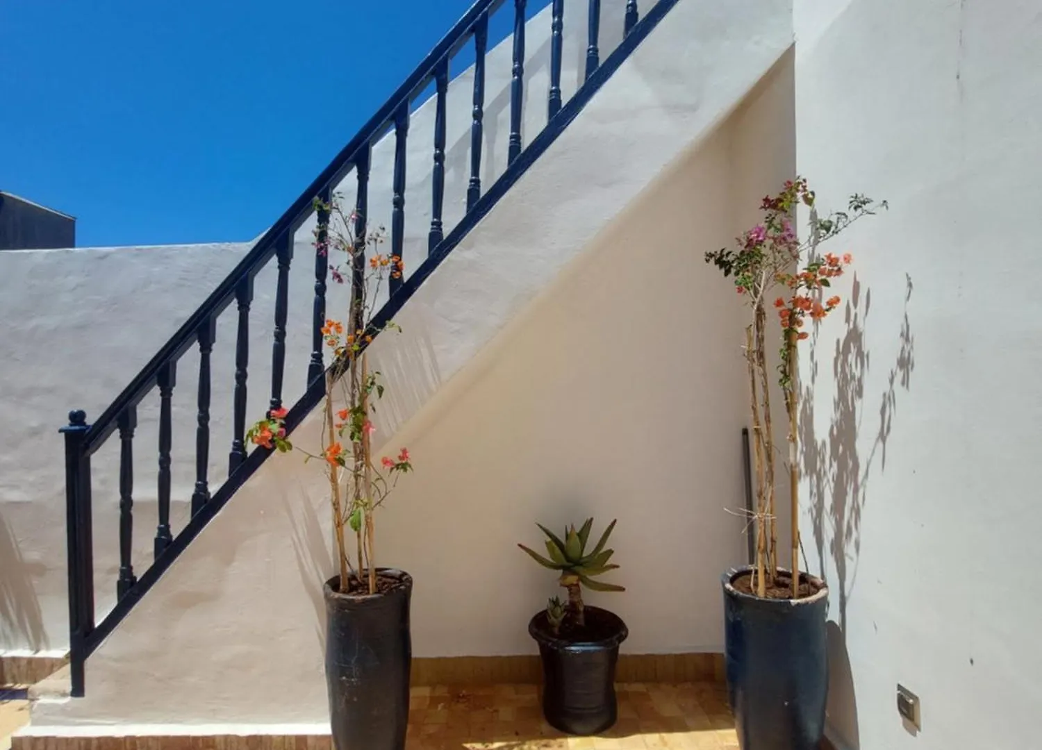 Riad Babette Essaouira Maroc
